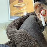 [드루와] 아 <b>트라</b>거스 살튀생김