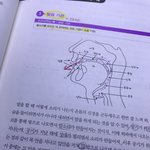 [댓글부탁해] 떠먹는 국어<b>문법</b> 하고있는데 이렇게 하는게 맞는겨
