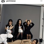 [이것좀봐줘] 레벨 멤은 아이린이랑 잘 지냄 ㅋㅋ