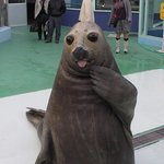 [드루와] 수능망한 얘들아 재수하지말고 다른걸 하삼