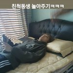 [NCT즌] 이사진 어디에 뜬거야?