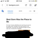 베스트<b>고어</b> 아는사람