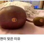 외국인이 한국어 <b>몇</b> 년 동안 배우면 이거 해석할 <b>수</b> 있을까