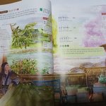 삽화 <b>레게</b>노아니냐