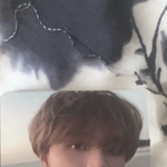 [NCT즌] 퓨쳐 키노 해찬 시세 <b>몇임</b>?