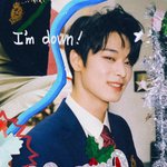 덥 <b>컨포</b> 개이쁘다