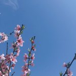 <b>평준</b>화 지역 반에서 고등학교 강제 배정받은애 몇명이었서????