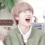 [NCT즌] 행복 <b>햄찌</b>
