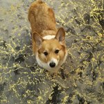 몽룡이 <b>짱귀</b>