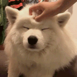[댓글부탁해] 왜 <b>동해</b>를 일본해라고 부르면 <b>안</b> 됨??
