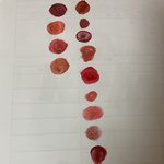 가지고 있는 립제픔 <b>발색</b>