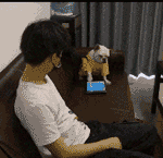 한<b>성깔</b>하는 강쥐~ 얘 키울 수 있겠습니까 ㅎㅋ