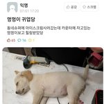 후드<b>티</b> 살건뎅