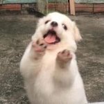 싸우니까 <b>연말분위기</b>도 나고 좋다야