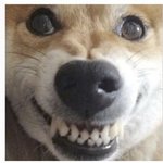 <b>변백현</b> 겨울앨범 들을 생각에