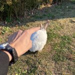 가천대 산기대 <b>중위</b>권이야?