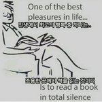 송중기 __ 수능 380점 맞고 정시로 성대 <b>영문</b>