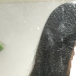 [NCT즌] ㅅㄷ 머리 기르는데 ㄹㅇ 개힘들다