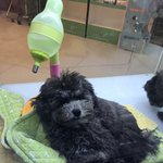 [19] 아니 내친구 줌에 미쳤음