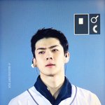 나 오세훈 <b>밤톨</b> 사랑했는데
