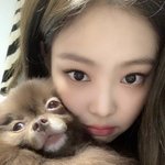 얘들아 강아지 진짜 귀엽지 않냐 ㅠㅠ
