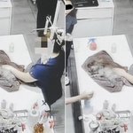 “강아지 얼굴에 페브리즈·디퓨저 뿌리고 깔깔깔…”