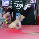 싱싱한 산 곰장어 양념구이