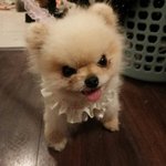 확실히 중3이 젤 좋은듯