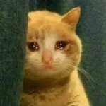 진짜 최찬희 땜에 눈가 <b>촉촉</b>