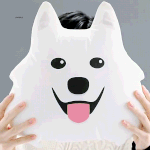 [강다니엘] 솔로 데뷔 500일이다!!!!