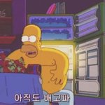 투바투 <b>동물원</b>을 빠져나온 퓨마
