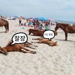 [댓글부탁해] <b>버즈</b>라이브 에어팟 뭐가더좋아?