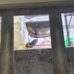 [꼭조언부탁] 건물주와의 분쟁으로 폐업까지 고민하고 있습니다.