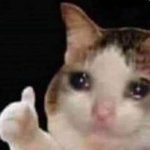 [ㅈㄱㄴ] 아까 노래 추천해준 판녀 ㄱㅅ