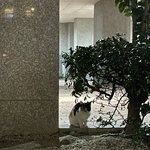ㅅㅂ 인스타 네일팁 개빡치네