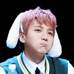 [펜타곤] 짹에서 본건데