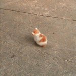 [댓글부탁해] 아니 이거 내가 잘못한거야?