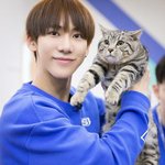 [ㅈㄱㄴ] 아 내일 갑자기 온라인수업으로 돌린다하면 좋겠다