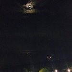 [19] 한남 패는거 나만 <b>희열</b>느끼냐