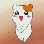 [댓글부탁해] 수능 끝난 고3들이 후배들에게 조언해주라!! (･∀･)/