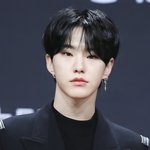 [세븐틴] 세븐틴 3관왕 축<b>하행</b>