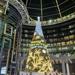 [이것좀봐줘] 오늘 <b>산책</b>하면서 찍은 사진 봐줘