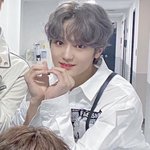 [크래비티] <b>김태영</b> 고양이 인정?