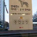 안내견 논란 그 후