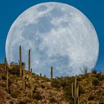 사진작가가 그린 <b>달빛</b>