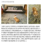 백현은 어머니한테도 다정<b>스윗</b>아들이네