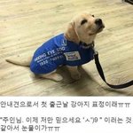[드루와] 할 거 없는 고삼한테 <b>암거</b>나 물어봐
