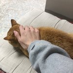 나 <b>이런</b> <b>사진</b> 보면 설렘