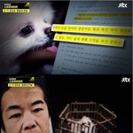 [이것좀봐줘] 조두순,반려견 눈찔러 죽이고 성욕 과잉, 감옥서 자위…이상행동