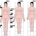 보통 너네 몇등신이야???